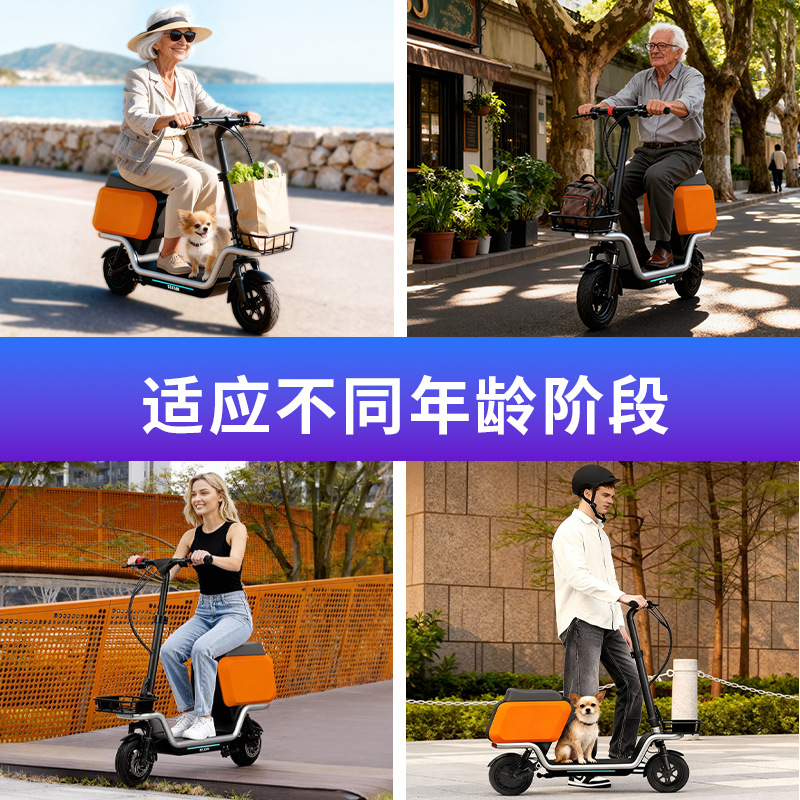 Adult Escooter electric scoote - Electric Scooter 评论和价格