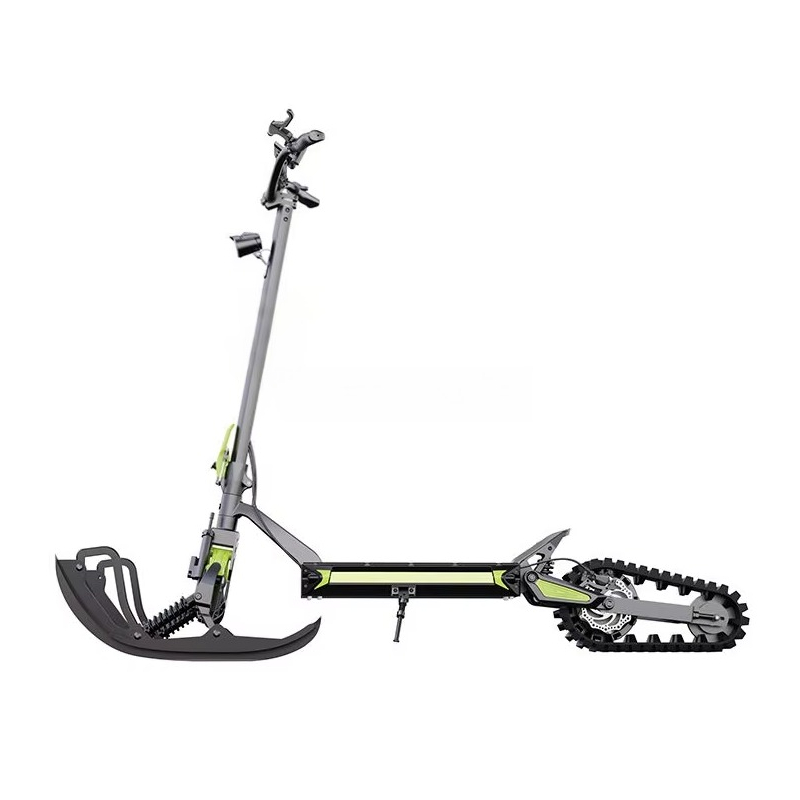 New Arrival 3-In-1 Eretic Snow - Electric Scooter 评论和价格